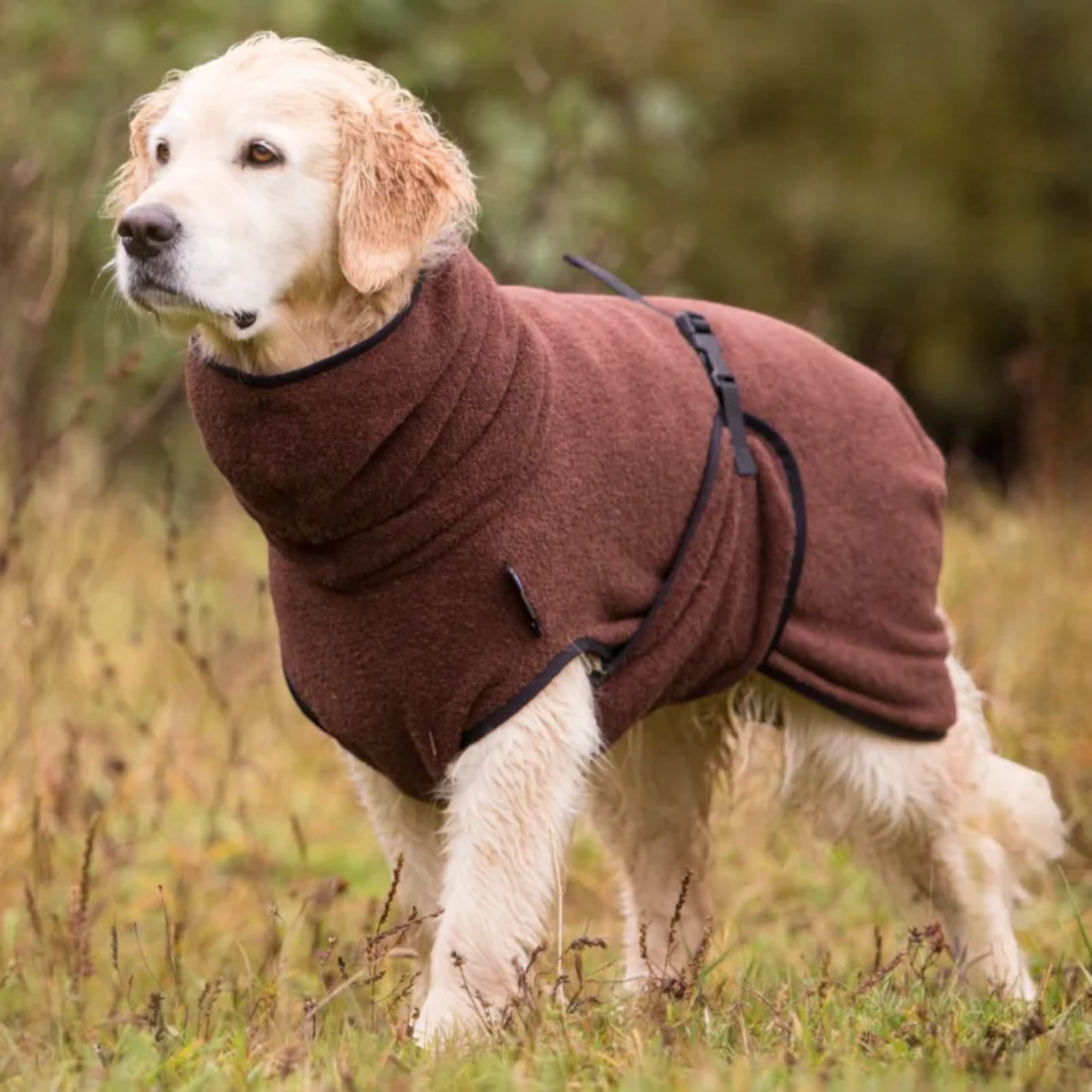 Actionfactory - Hundebademantel Baumwolle (DryUp Cape) für alle Größen & Rassen