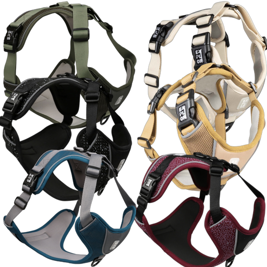 Duvoplus EXPLOR Ultimate Fit No-Pull-Geschirr