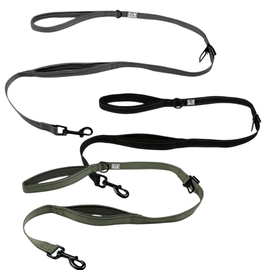 Duvoplus – Hundeleine EXPLOR Ultimate Fit On-The-Road-Leine Safety