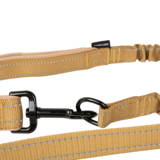 Duvoplus – Trainingsleine EXPLOR Ultimate Fit 2in1 Leine Fashion