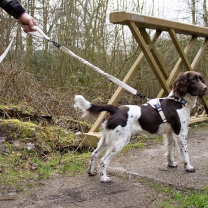 Duvoplus – Trainingsleine EXPLOR Ultimate Fit 2in1 Leine Fashion