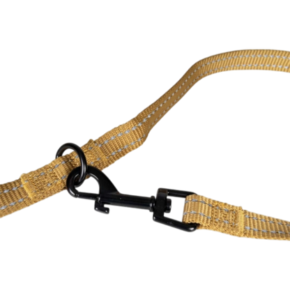 Duvoplus – Trainingsleine EXPLOR Ultimate Fit Safety