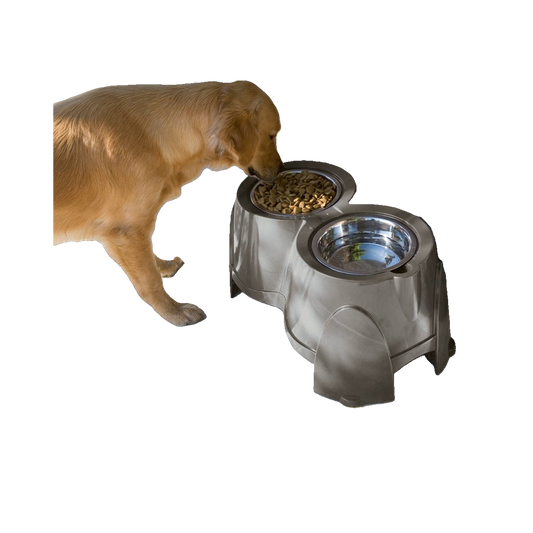 „Ergo Feeder“ – Ergonomischer Futternapf für eine gesunde Haltung