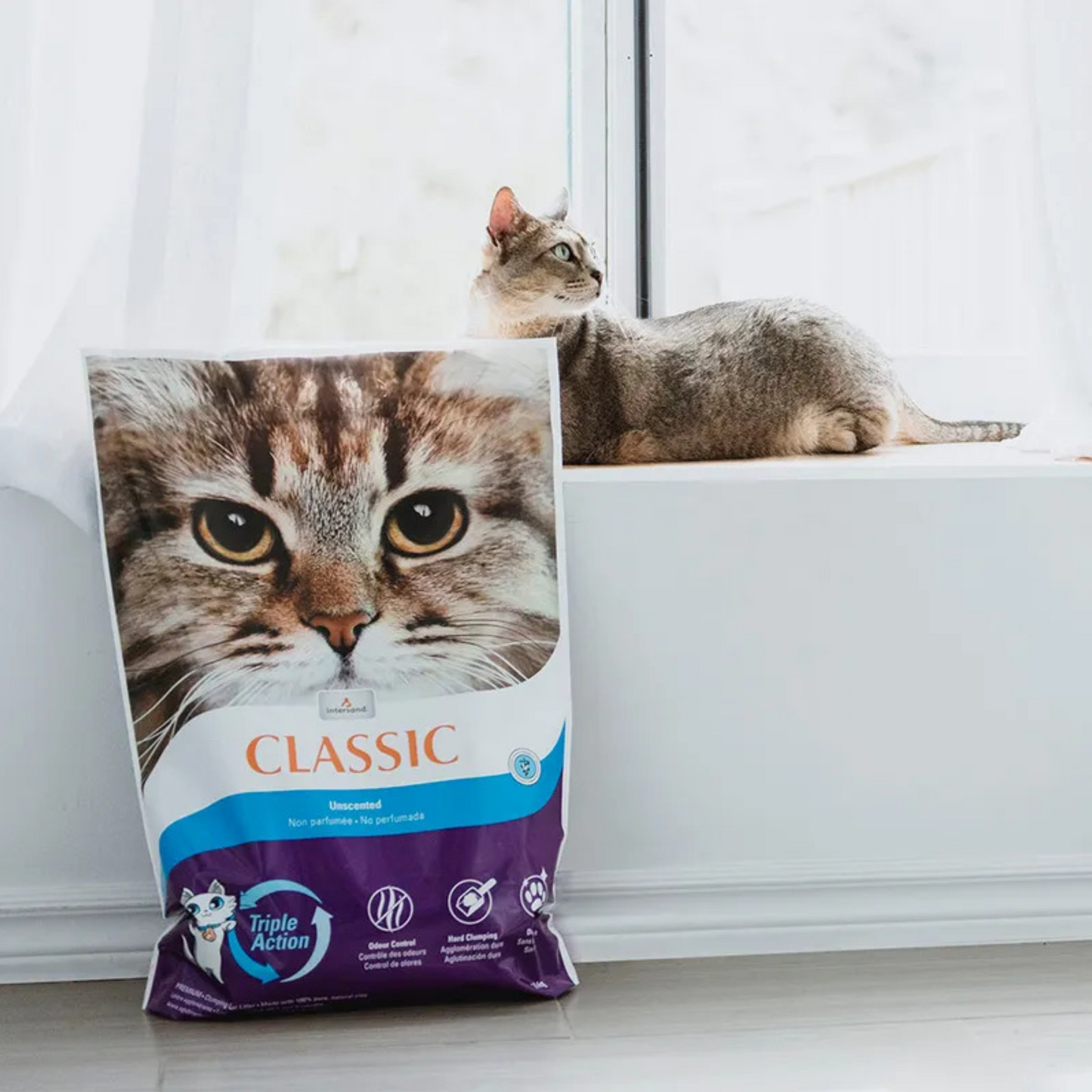 Extreme Classic Katzenstreu 14 kg – hochwertige Bentonitstreu mit Babypuderduft