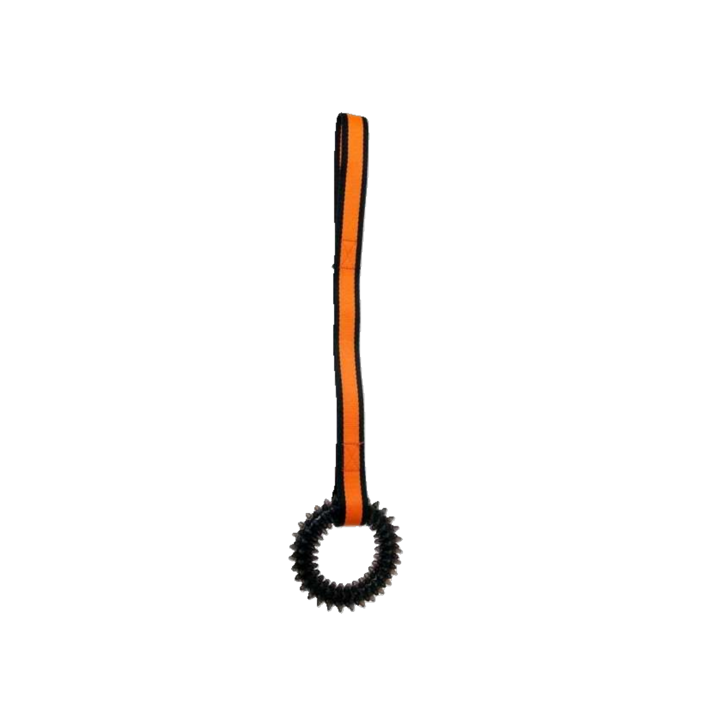 Für echte Kraftpakete! – der widerstandsfähige Zackenring für Spielspaß an Land & im Wasser