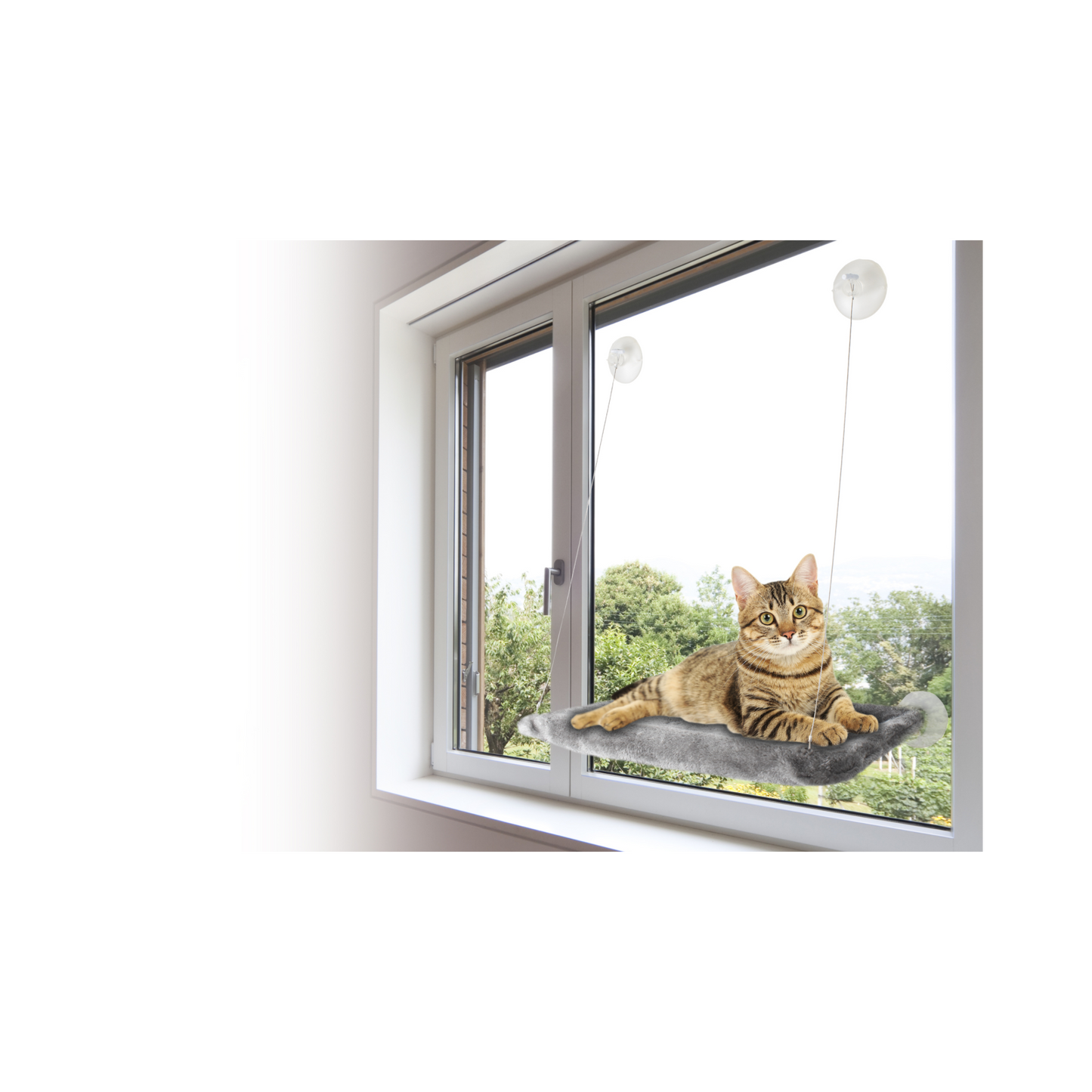 Fensterhängematte – Stilvoll entspannen für Ihre Katze