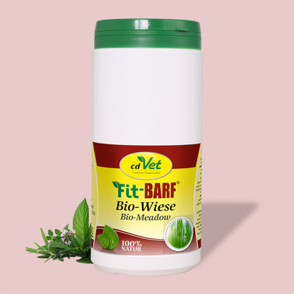 Fit-BARF Bio-Wiese – Basische Kräuterkraft zur natürlichen Regulation