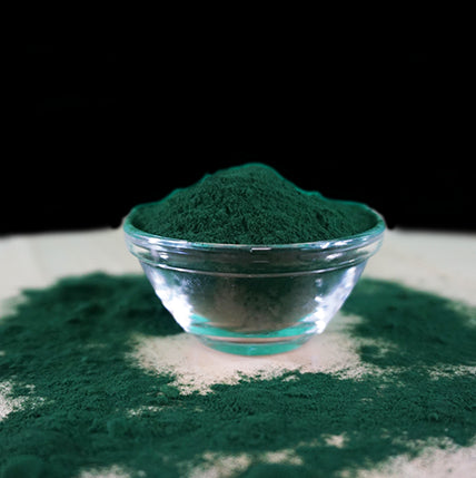 Fit-BARF Bio-Spirulina – Hochkonzentrierter Mikro-Nährstoffträger für Vitalität & Stoffwechselbalance