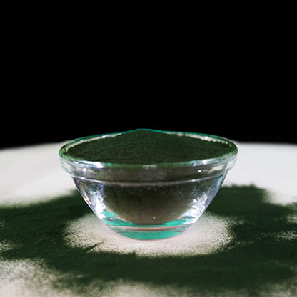 Fit-BARF Bio-Chlorella – Natürlicher Toxinbinder & Chlorophyll-Boost für Hunde und Katzen