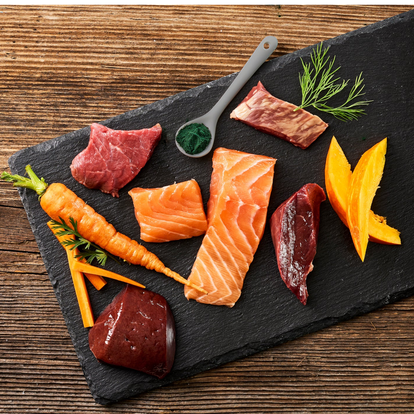 Fleischeslust Dog - Lachs mit Rind, Karotte, Kürbis & Spirulina