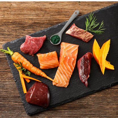 Fleischeslust Dog - Lachs mit Rind, Karotte, Kürbis & Spirulina