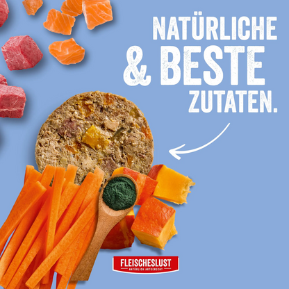 Fleischeslust Dog - Lachs mit Rind, Karotte, Kürbis & Spirulina