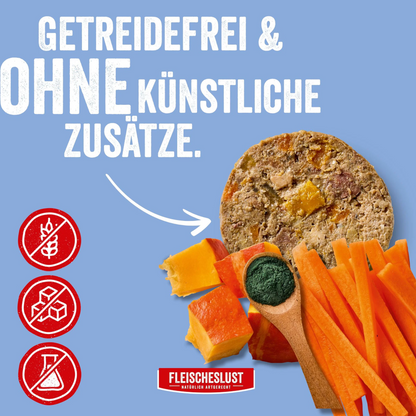 Fleischeslust Dog - Lachs mit Rind, Karotte, Kürbis & Spirulina