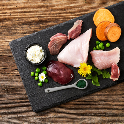Fleischeslust Dog - Saftiges Pute, körniger Frischkäse & Erbse für Junioren