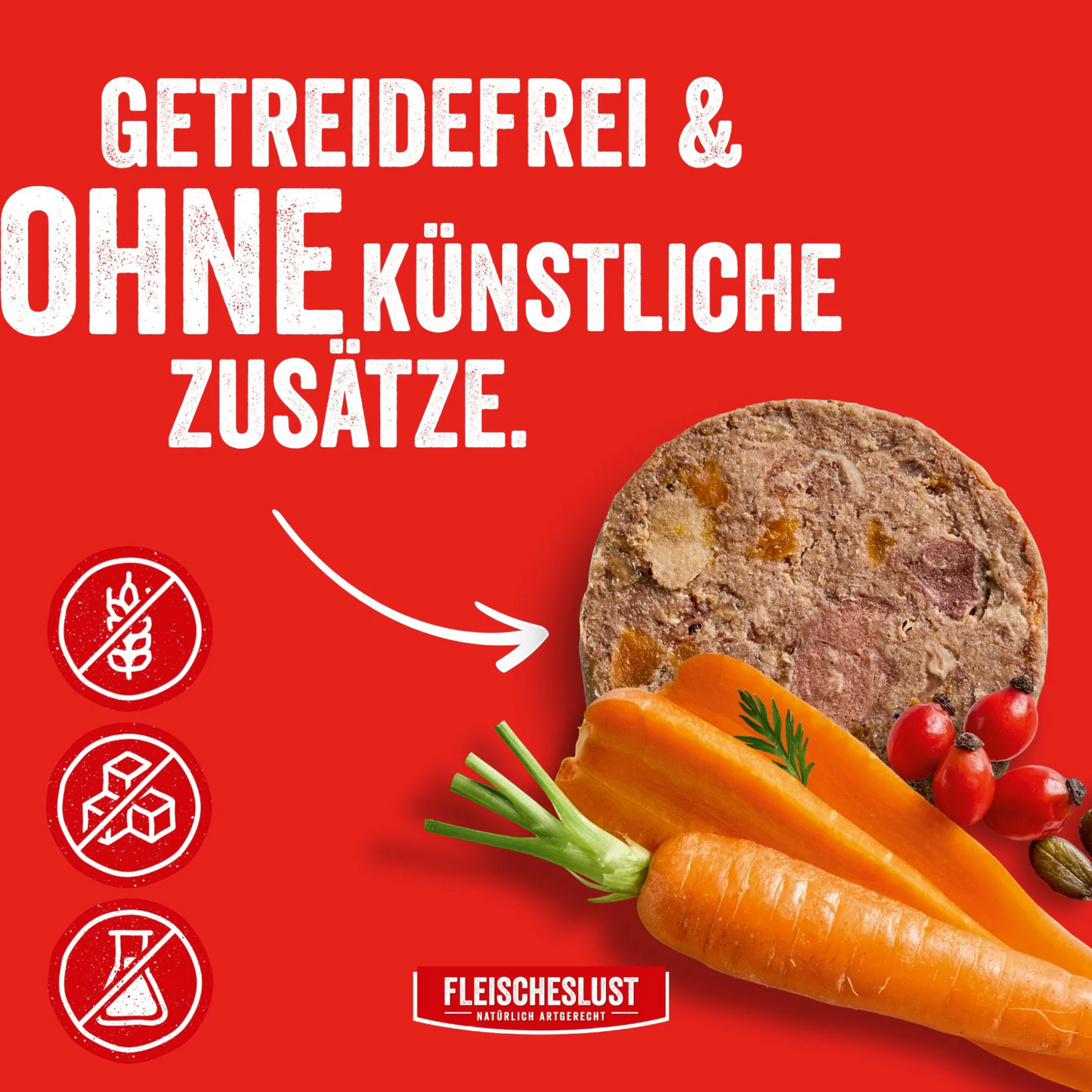 Fleischeslust Dog - Zartes Rind mit Karotte, Hagebutte & Kürbiskernen