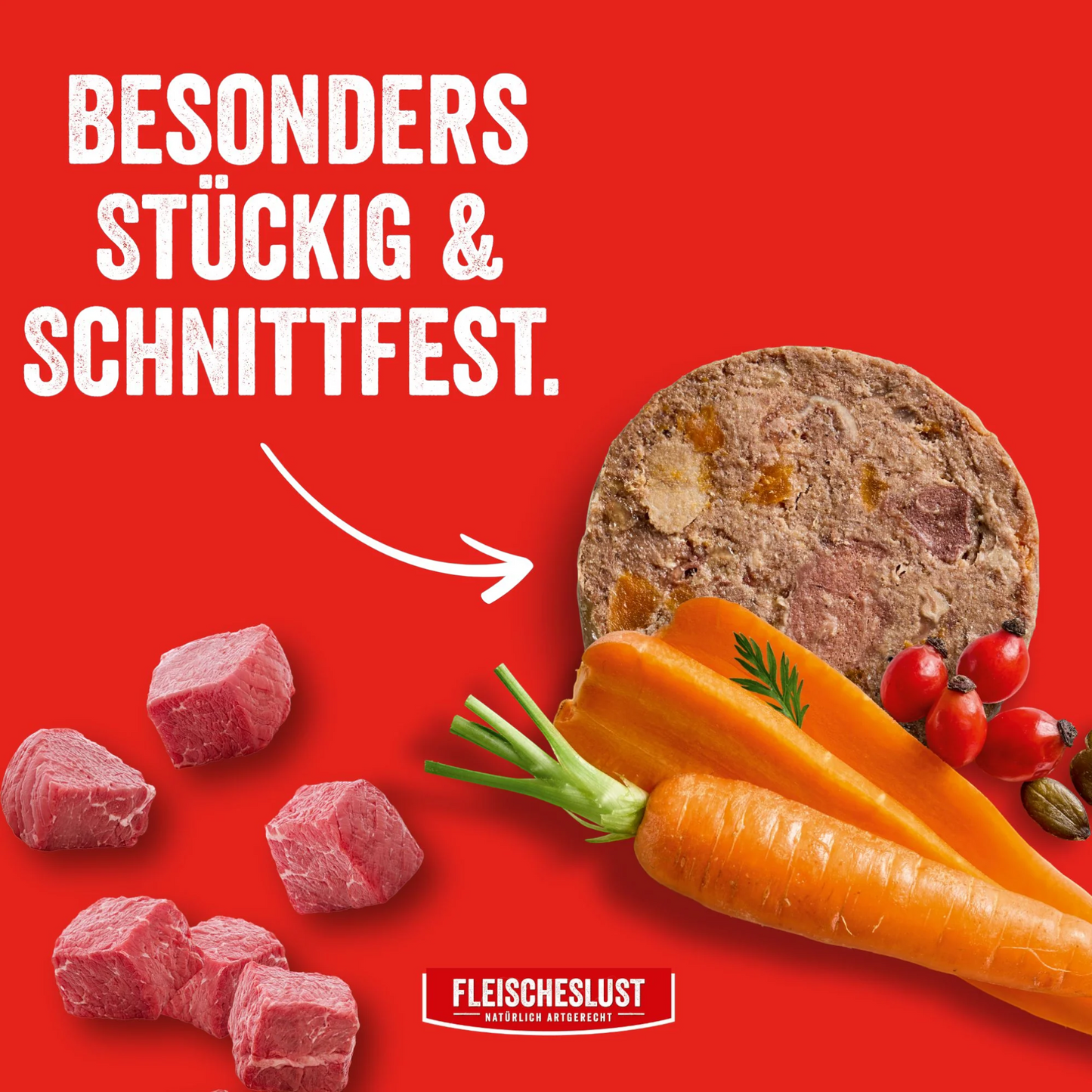 Fleischeslust Dog - Zartes Rind mit Karotte, Hagebutte & Kürbiskernen