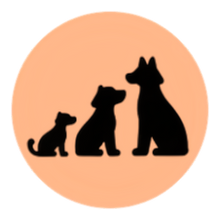 Für jede Hundegröße