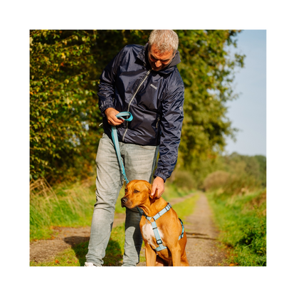 Full Reflect Geschirr – Maximale Sichtbarkeit & Komfort für deinen Hund