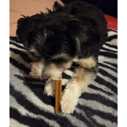 Garden Bites Dog - Dental Sticks