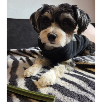 Garden Bites Dog - Dental Sticks