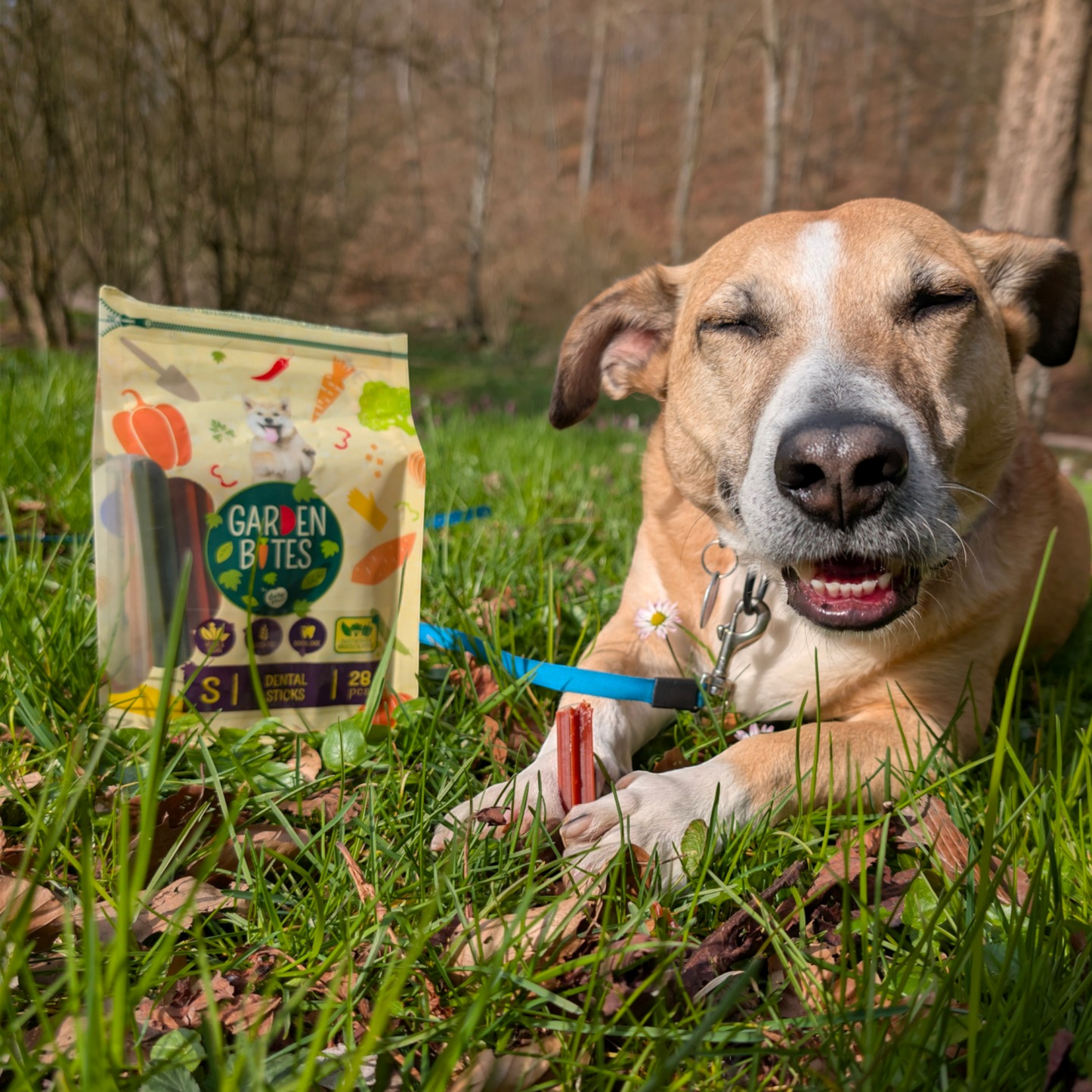 Garden Bites Dog - Dental Sticks