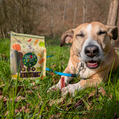 Garden Bites Dog - Dental Sticks