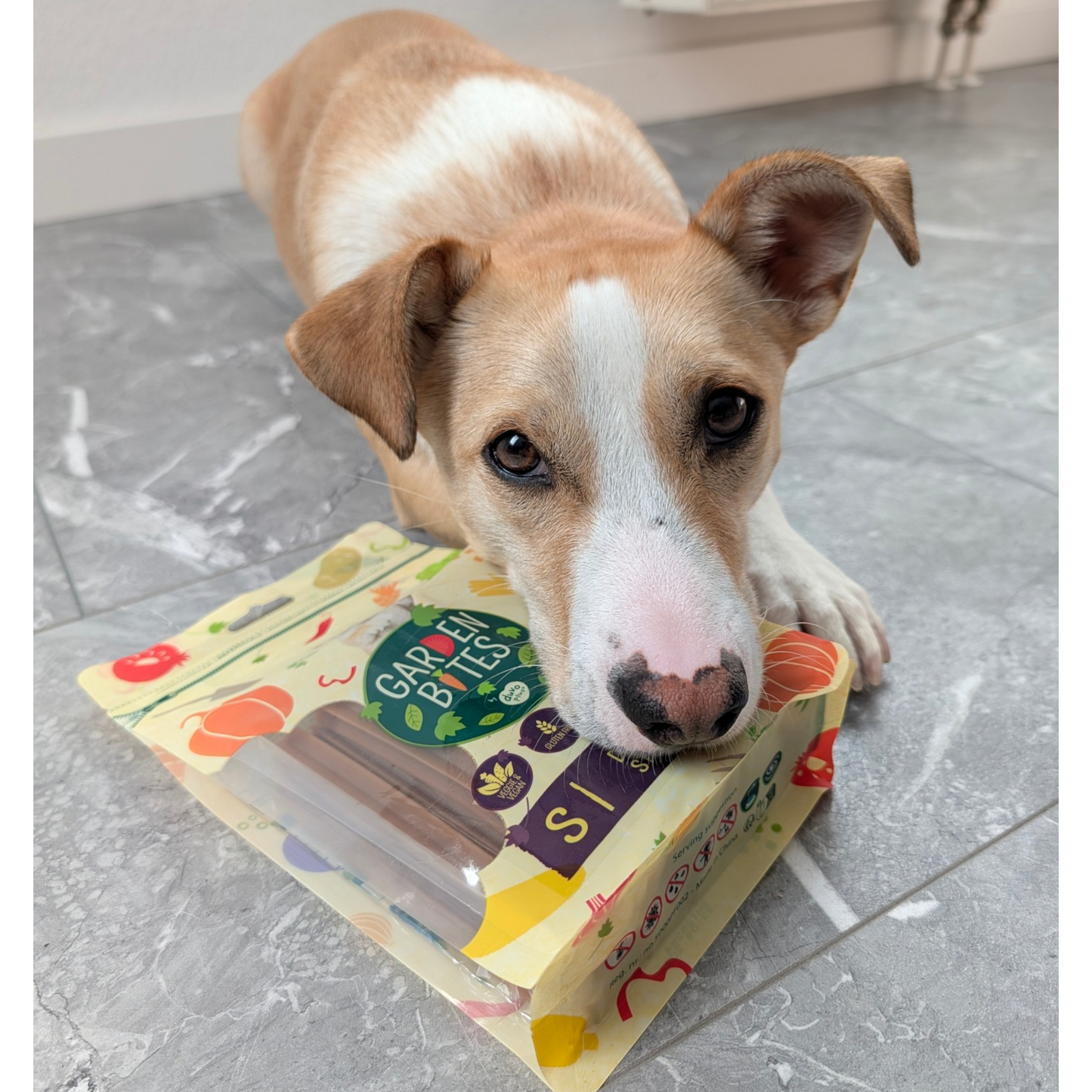 Garden Bites Dog - Dental Sticks