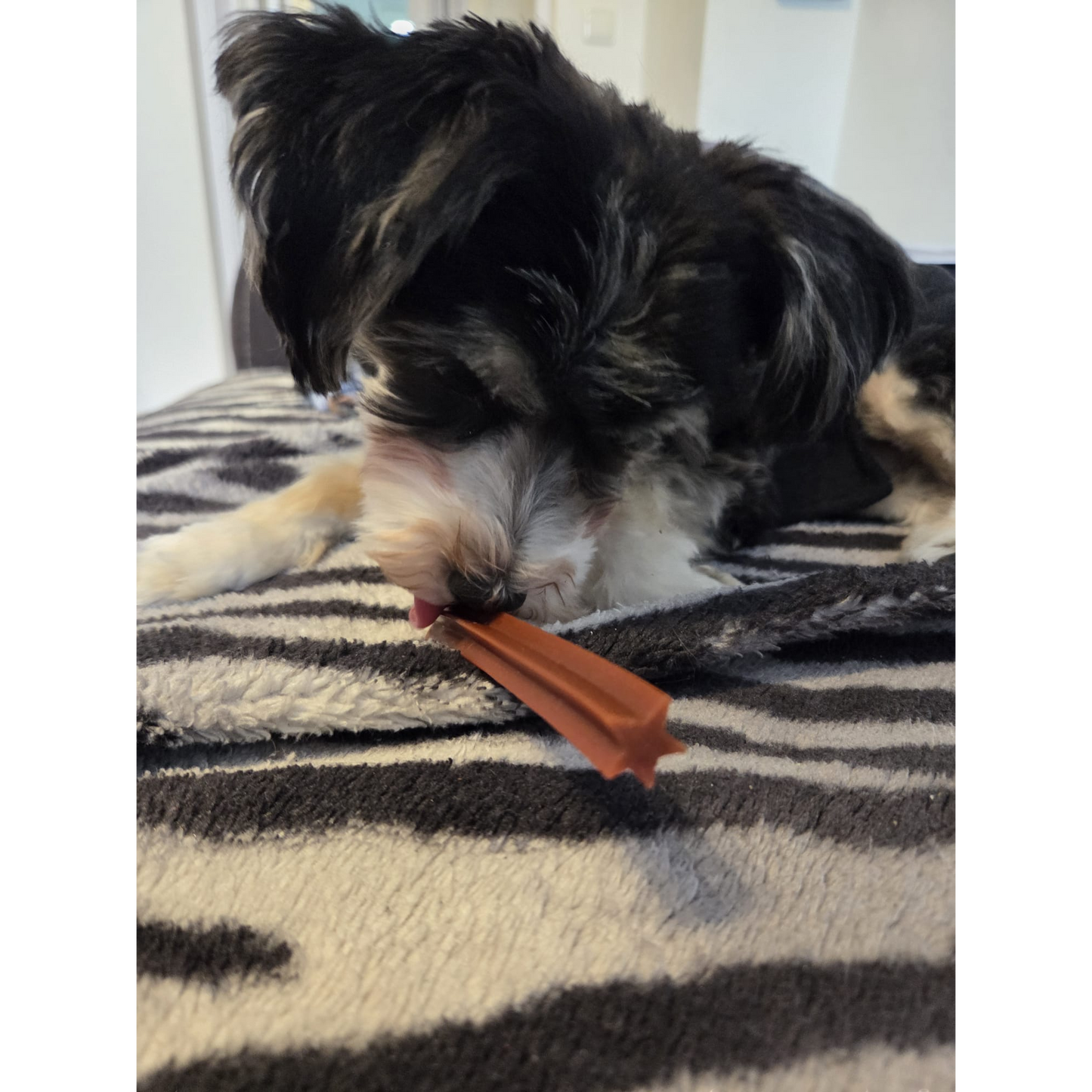 Garden Bites Dog - Dreifach Vegane Sticks