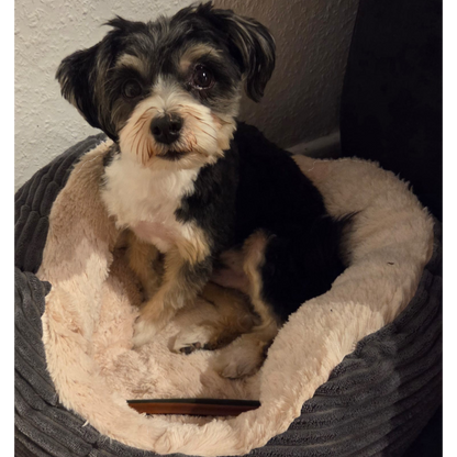 Garden Bites Dog - Dreifach Vegane Sticks