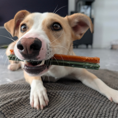 Garden Bites Dog - Dreifach Vegane Sticks