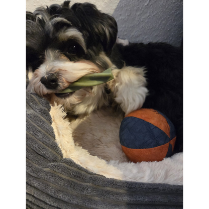 Garden Bites Dog - Fruity Dental Swirls