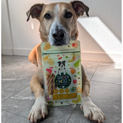 Garden Bites Dog - Fruity Dental Swirls