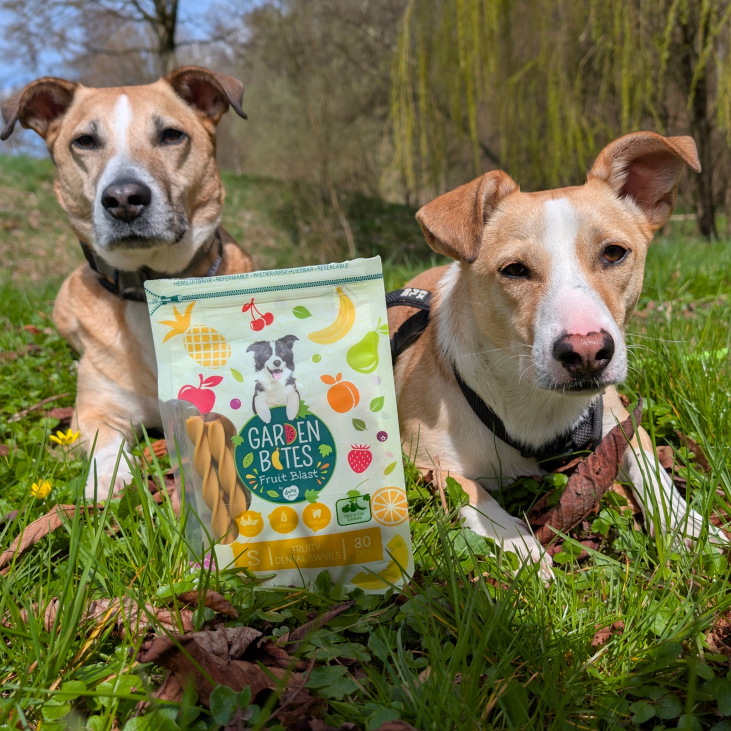 Garden Bites Dog - Fruity Dental Swirls