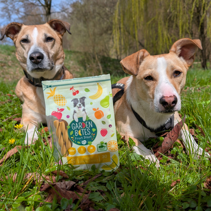Garden Bites Dog - Fruity Dental Swirls
