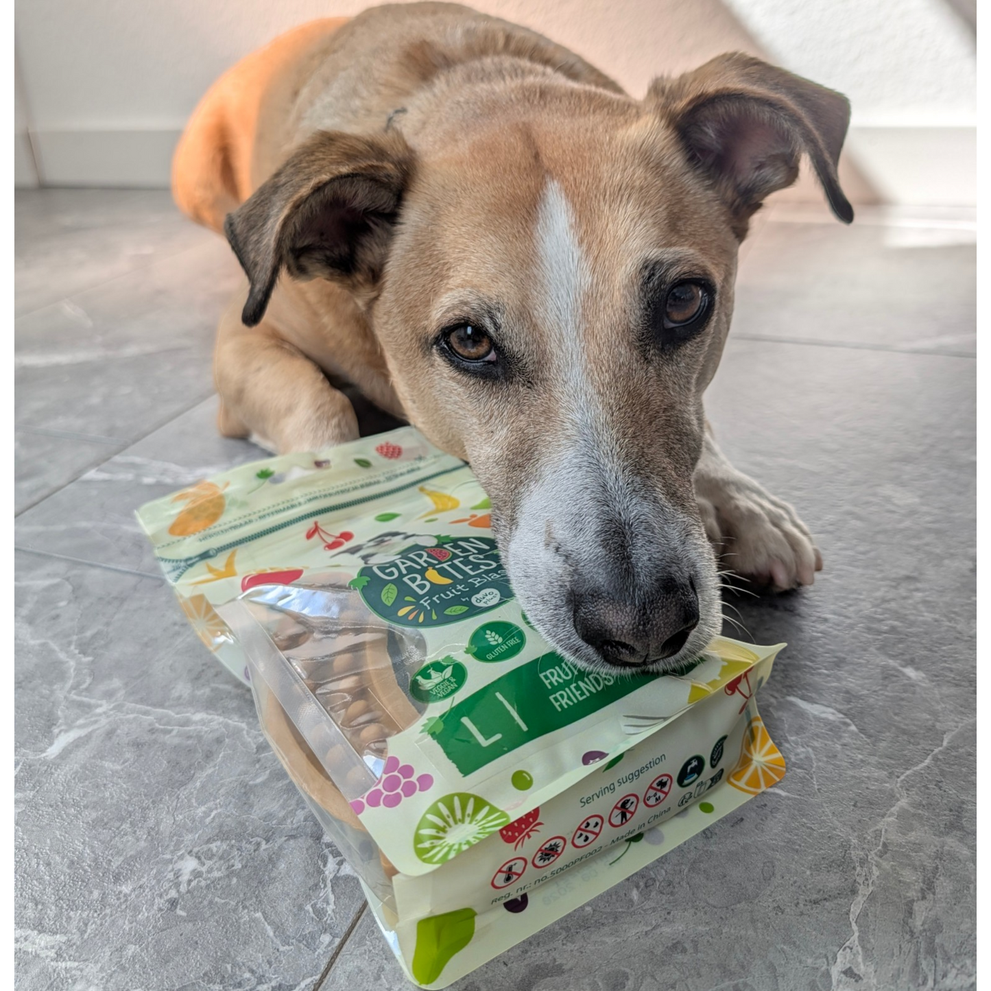 Garden Bites Dog - Fruity Friends