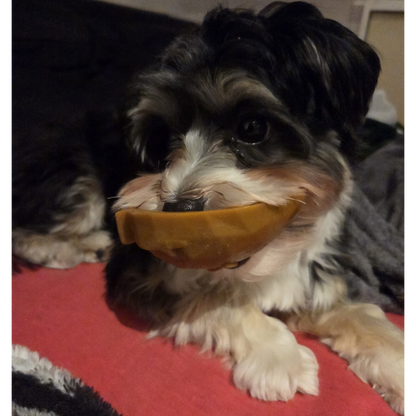 Garden Bites Dog - Fruity Friends