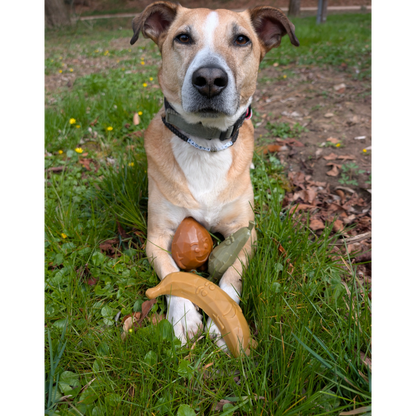 Garden Bites Dog - Fruity Friends