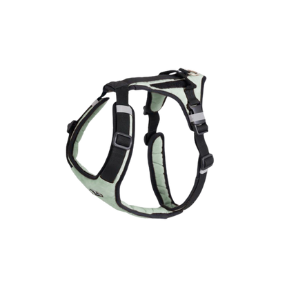 Redoggo Geschirr – Ergonomisch, sicher & nachhaltig