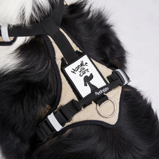 Redoggo Patch „Handle with Care“ – Extra Sichtbarkeit für sichere Spaziergänge