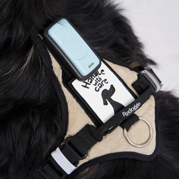 Redoggo Geschirr – Ergonomisch, sicher & nachhaltig