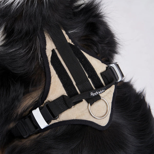 Redoggo Geschirr – Ergonomisch, sicher & nachhaltig