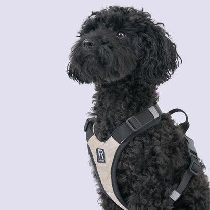 Redoggo Geschirr – Ergonomisch, sicher & nachhaltig
