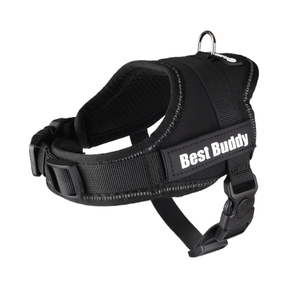 Geschirr Pluto – Komfort, Sicherheit & Style für jeden Hund