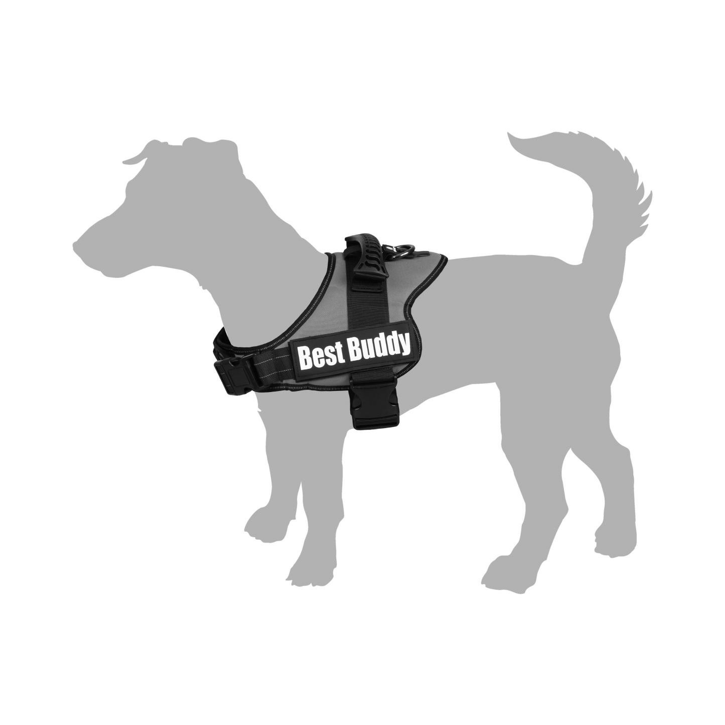 Geschirr Pluto – Komfort, Sicherheit & Style für jeden Hund