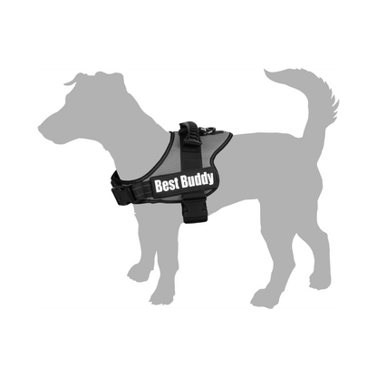 Geschirr Pluto – Komfort, Sicherheit & Style für jeden Hund