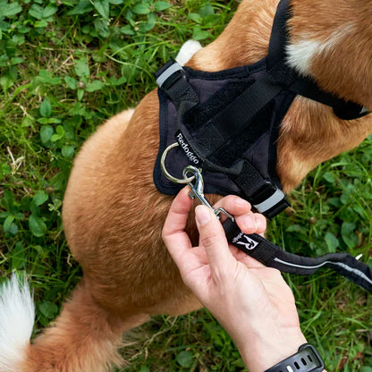 Redoggo Geschirr – Ergonomisch, sicher & nachhaltig
