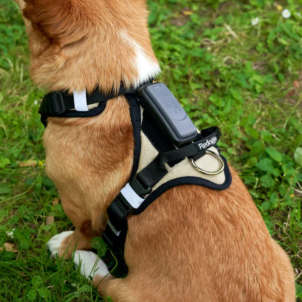 Redoggo Geschirr – Ergonomisch, sicher & nachhaltig