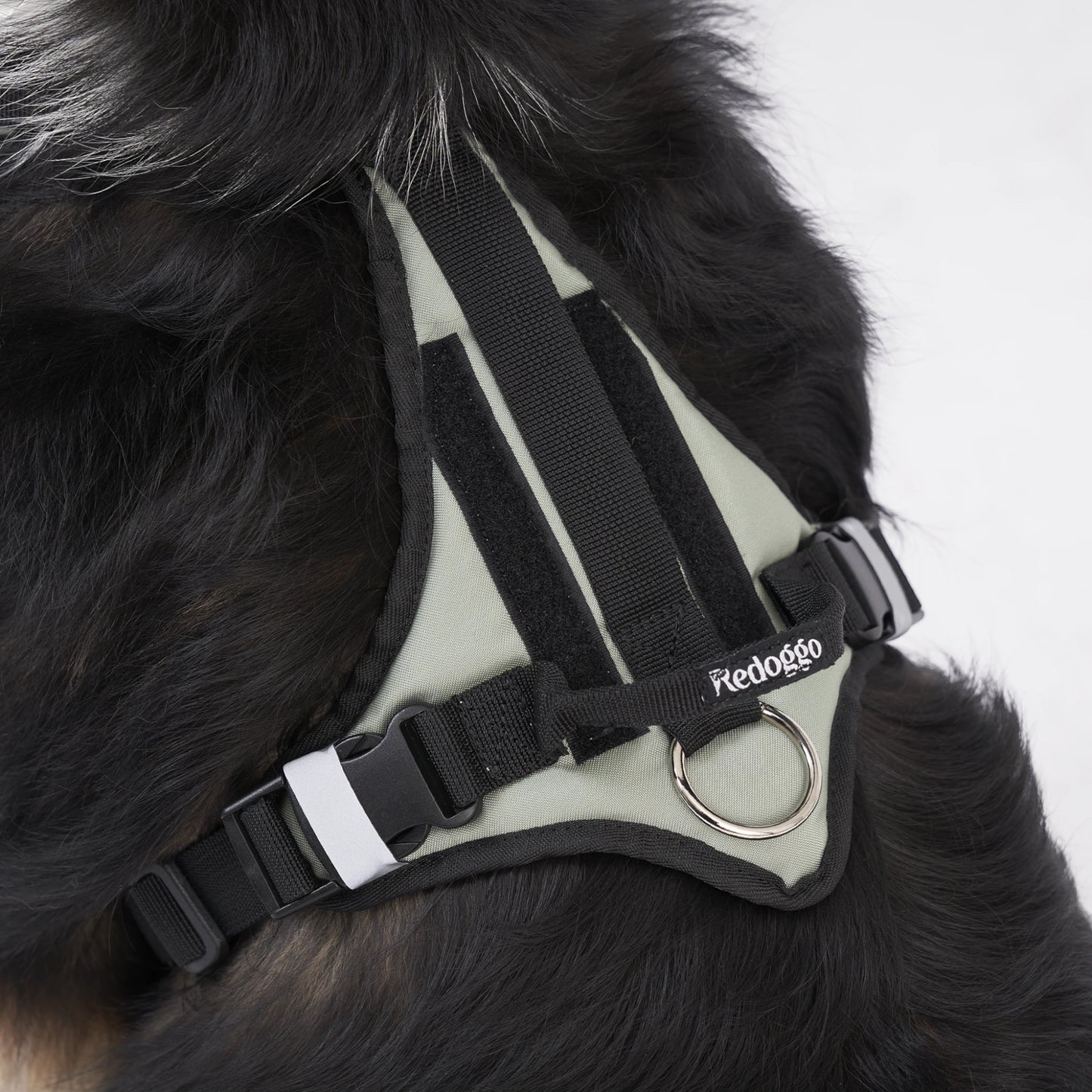 Redoggo Geschirr – Ergonomisch, sicher & nachhaltig