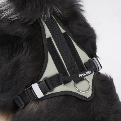 Redoggo Geschirr – Ergonomisch, sicher & nachhaltig