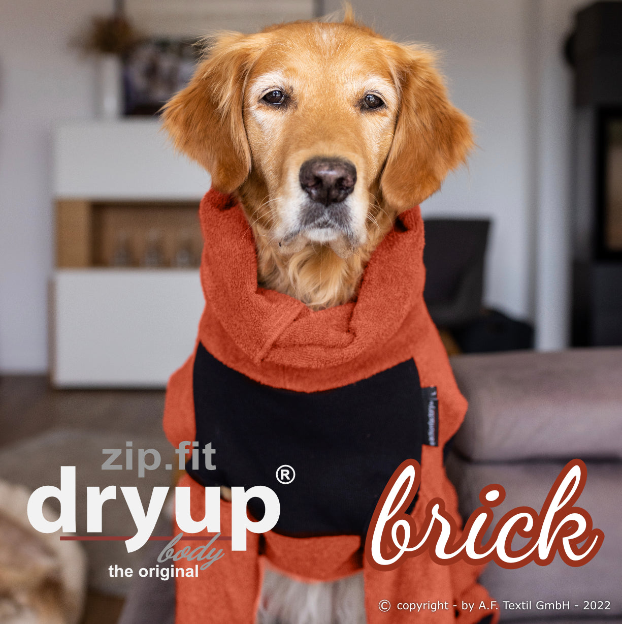 ZIP.FIT DRYUP Body Standard – Der Hundebademantel mit langen Beinen und Reißverschluss-System